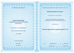 Основы проектного управления