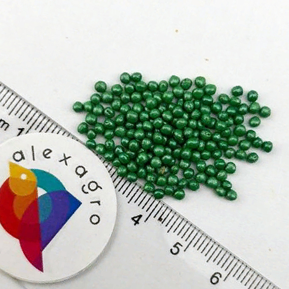 КРАУТКАЙЗЕР F1 семена капусты белокочанной Bejo описание – фото 5