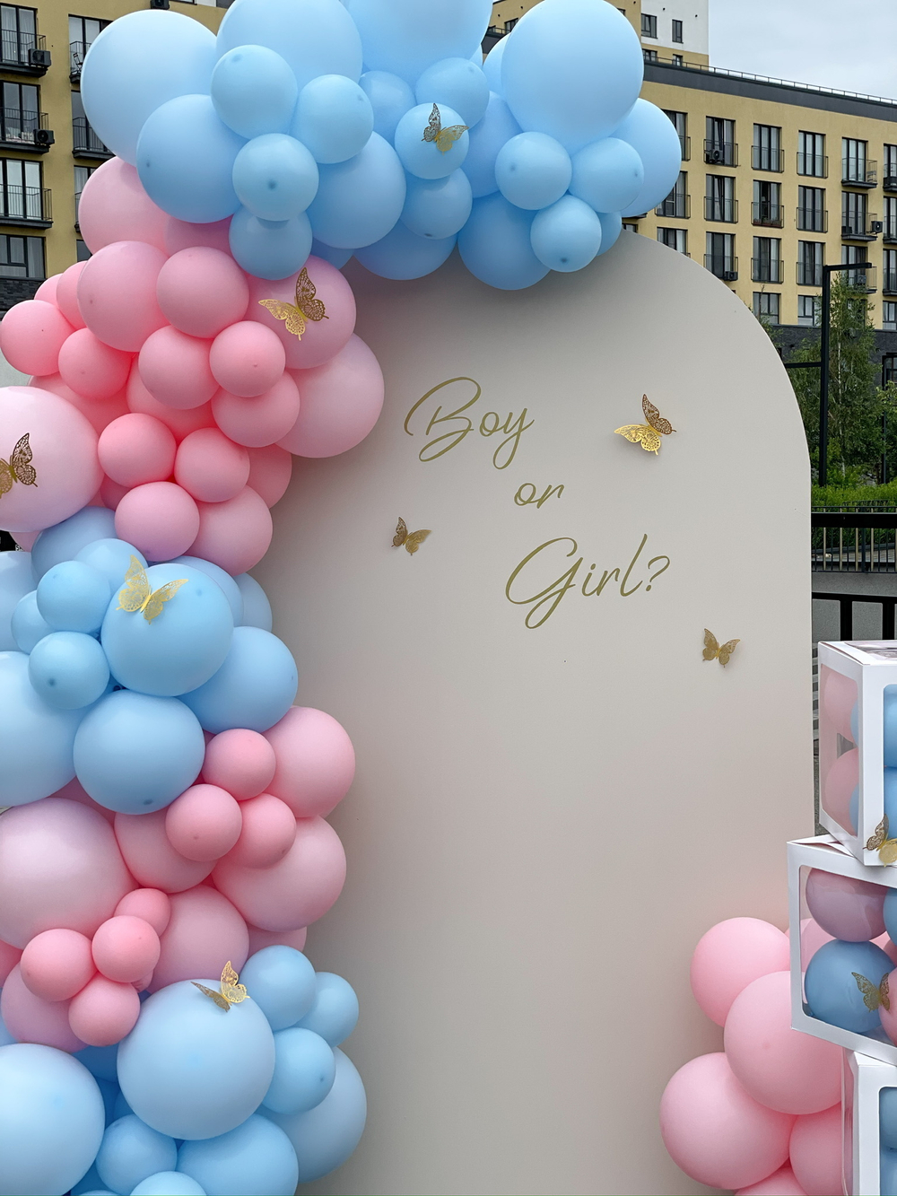 Фотозона 58. Гендер-пати