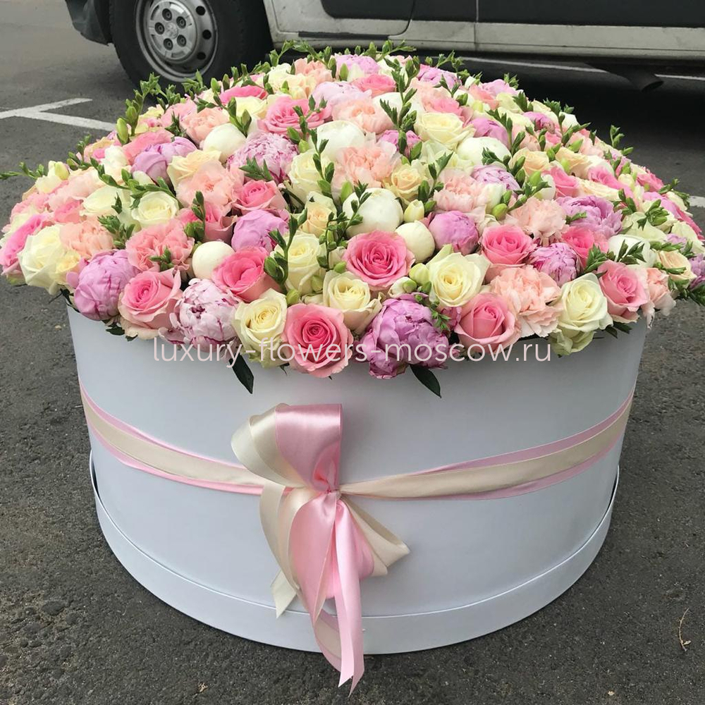 Микс шляпная коробка 49