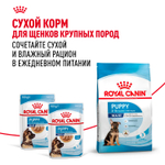 Royal Canin Maxi Puppy Влажный корм для щенков крупных пород в возрасте до 15 месяцев 100г