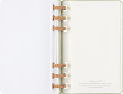 Еженедельник Moleskine ACADEMIC SPIRAL (DHSPK5212AMWH3) Large 150х210мм 200стр кремовые страницы спираль киви