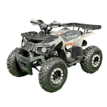 Квадроцикл Racer RC 200