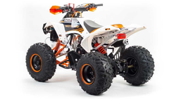 Квадроцикл MOTOLAND 125 RAPTOR