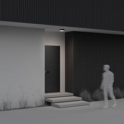 Уличный потолочный светодиодный светильник Maytoni   O431CL-L30B4K