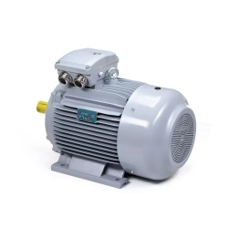 Электродвигатель ESQ PR 355 MВ2-SDN-Б1-S12-IE3 315/3000 IMB3