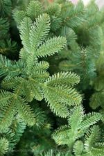 Искусственная ель «Барокко» (Литая+пвх) от 1.2 до 3 м