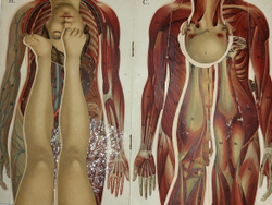 Платен М. Новый способ лечения. Лечение целебными силами природы. — Берлин: Изд. Просвещение, 1901