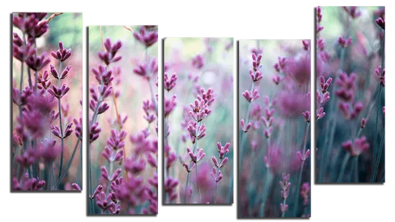 Модульная картина "Яркая лаванда"