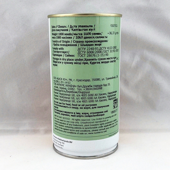 Рокин семена салата айсберг (Nunhems / Нюнемс) – фото 2