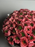 Коралловая любовь