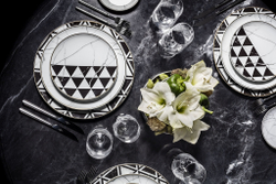 Чайная пара 250мл Vista Alegre Каррара