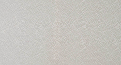 Шенилл Foreign (Форейн) 01