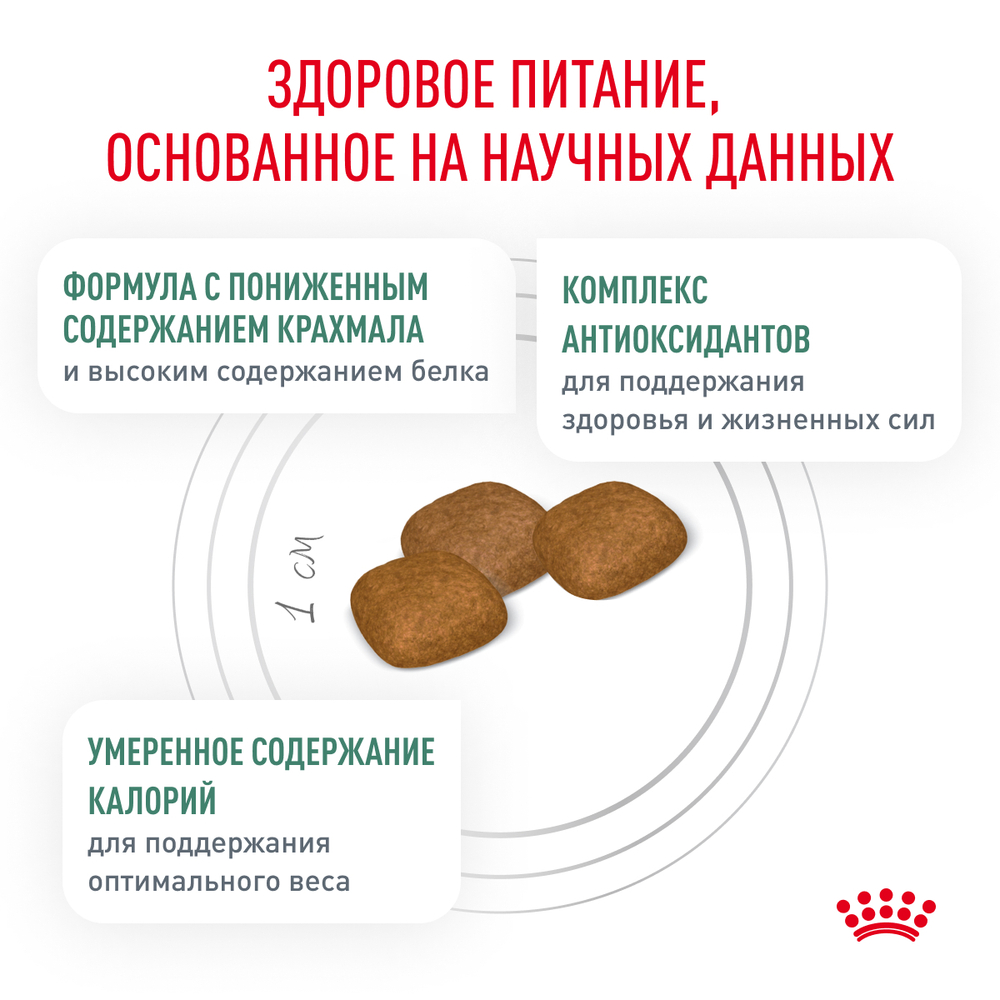 Сухой корм Royal Canin DIABETIC для взрослых собак при сахарном диабете 12кг