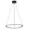 Подвесной светодиодный светильник Citilux Trio CL215B051