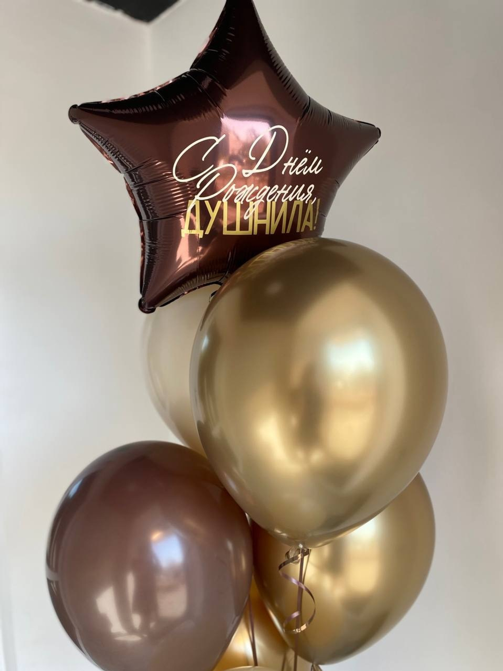 Воздушные шары С Днём рождения душнила №1599
