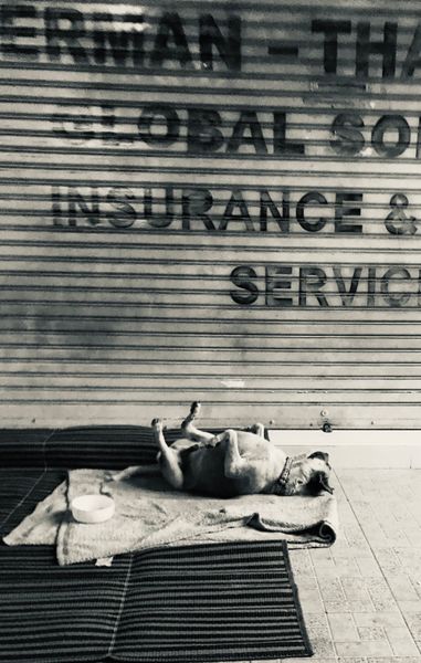 Карманный бунт: искусство быть хозяином там, где вы чужой