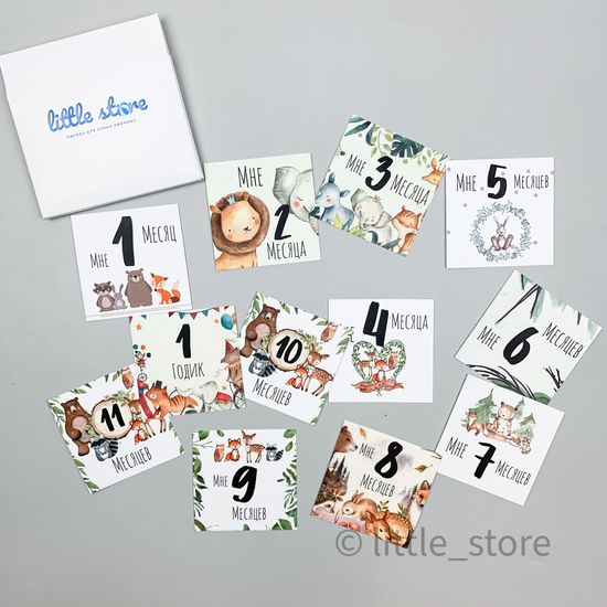 Набор открыток "Animals"