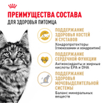 Сухой корм Royal Canin Maine Coon Adult для взрослых кошек породы Мэйн Кун 10кг