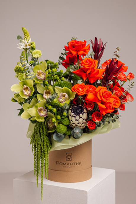 «Искрящиеся тропики»