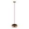 Подвесной светодиодный светильник Loft IT Knot 8135-D mini
