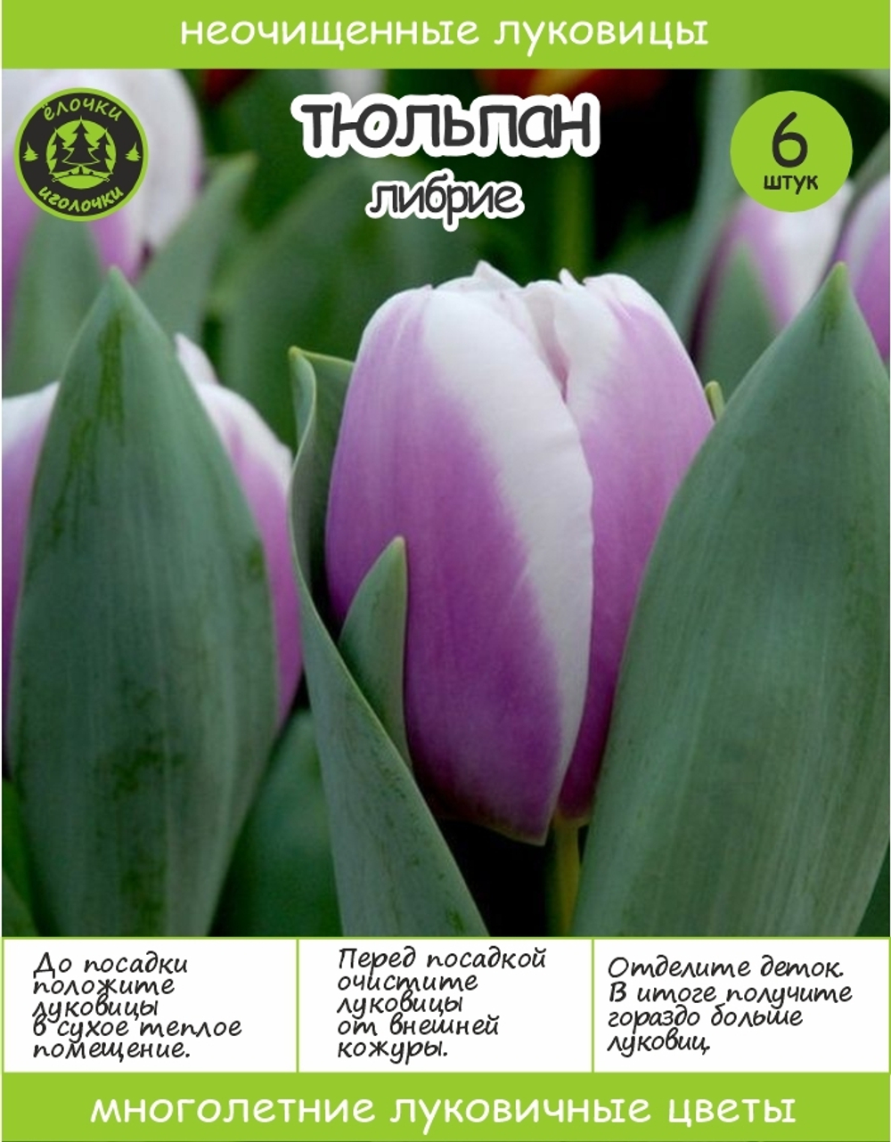 Тюльпан Луковица, Либрие, 6+шт