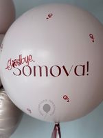 Воздушные шары на девичник №8714