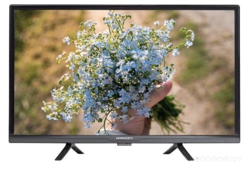 Телевизор Horizont 24LE5011D