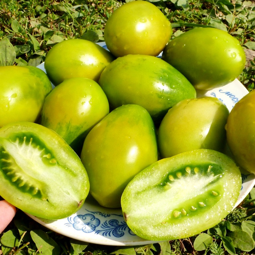 Помидоры Сhile Verde — Зелёный Чили