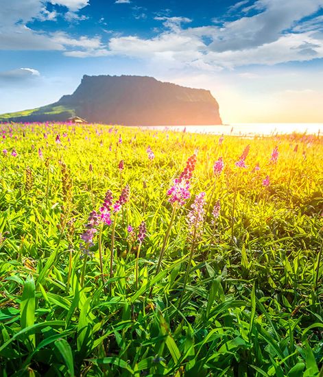 Linfa, диффузор Stile collection, Culti Milano