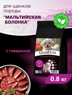 Корм сухой для щенков породы Мальтийская болонка, с говядиной, 800 гр, QUATTRO