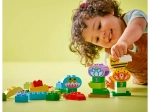 Конструктор LEGO Duplo 10444 Креативный сад и цветы