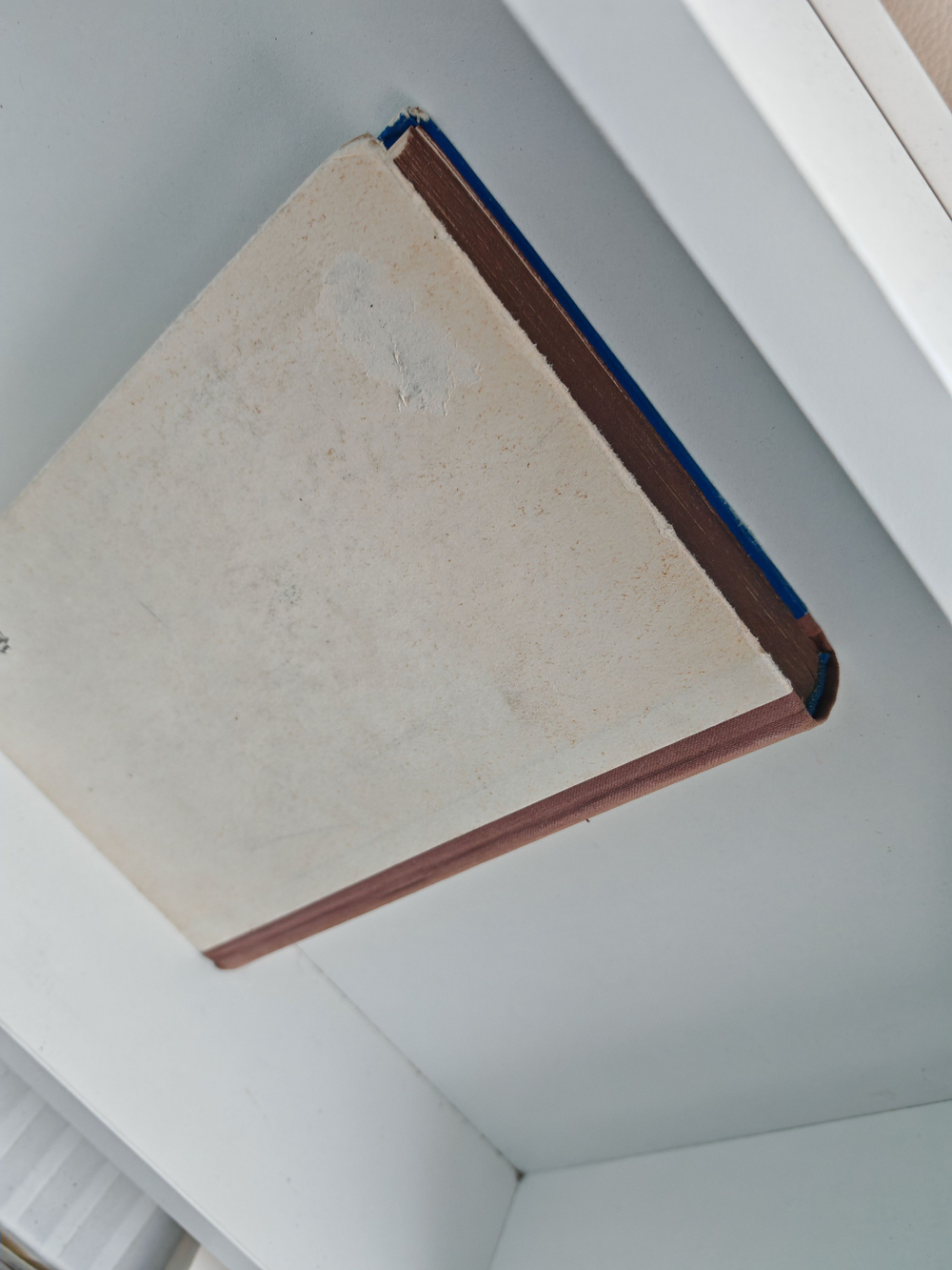 Второе пальто. Не бросайся в огонь