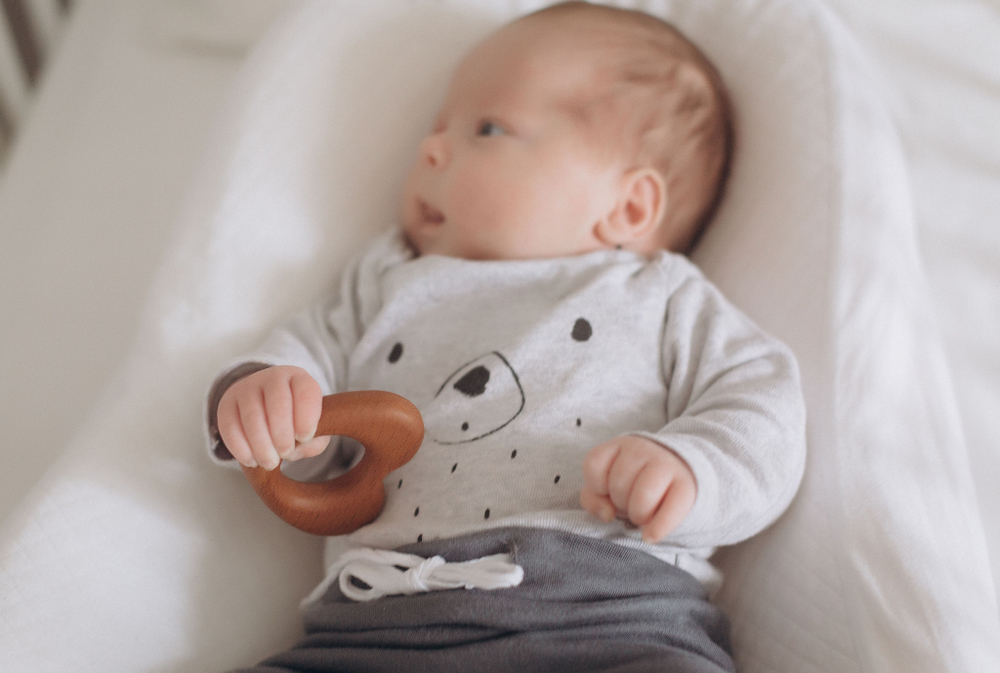 Грызунок Сердечко Леснушки