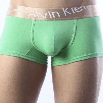 Мужские трусы боксеры зеленые с косой резинкой Calvin Klein Bronze Boxer Italics Green CK04111