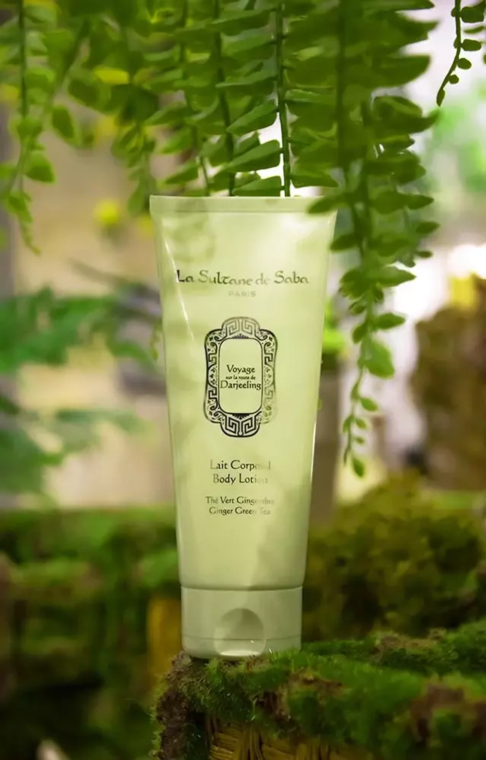 Лосьон для тела La Sultane de Saba Ginger Green Tea Body Lotion Зеленый Чай и Имбирь 200 мл