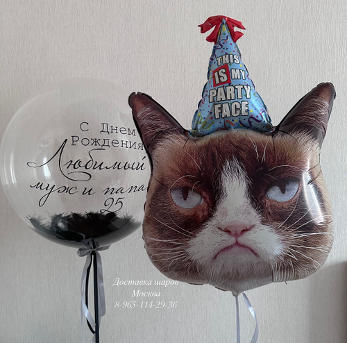 Шар с перьями и сердитым котом