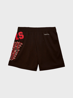 Шорты Cactus Jack Travis Scott x Mitchell & Ness University Of Wisconsin