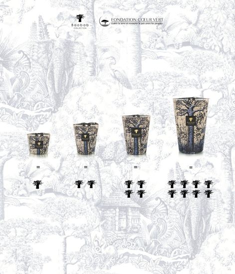 Seguela, свеча MAX 35 Sacred Trees collection, Baobab Collection