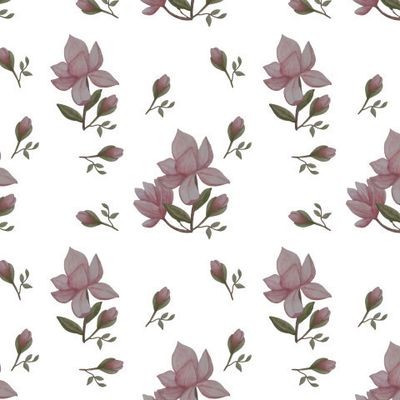 Магнолии на белом фоне