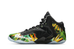 Кроссовки Nike Lebron 11 Everglades
