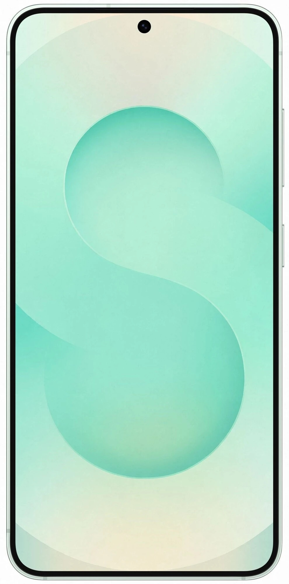 Samsung Galaxy S25 12/256GB