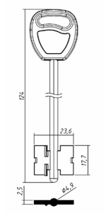 Заготовка дверняк ГАРДИАН 10 в пластике (GRD10DР)