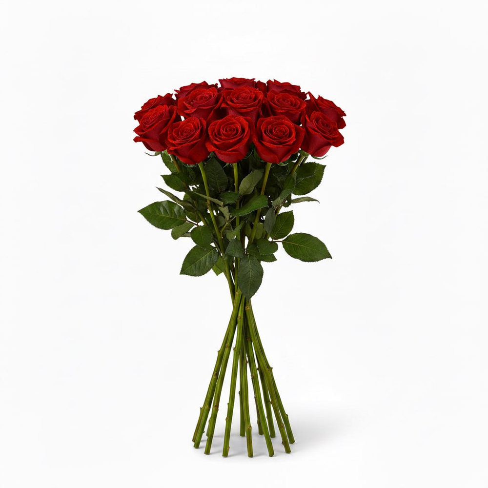 Розы "эквадор" красные