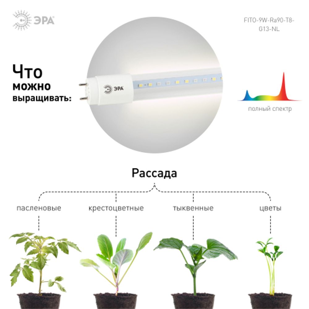 Фитолампа для растений светодиодная ЭРА FITO-9W-Ra90-Т8-G13-NL полного спектра 9 Вт Т8 G13