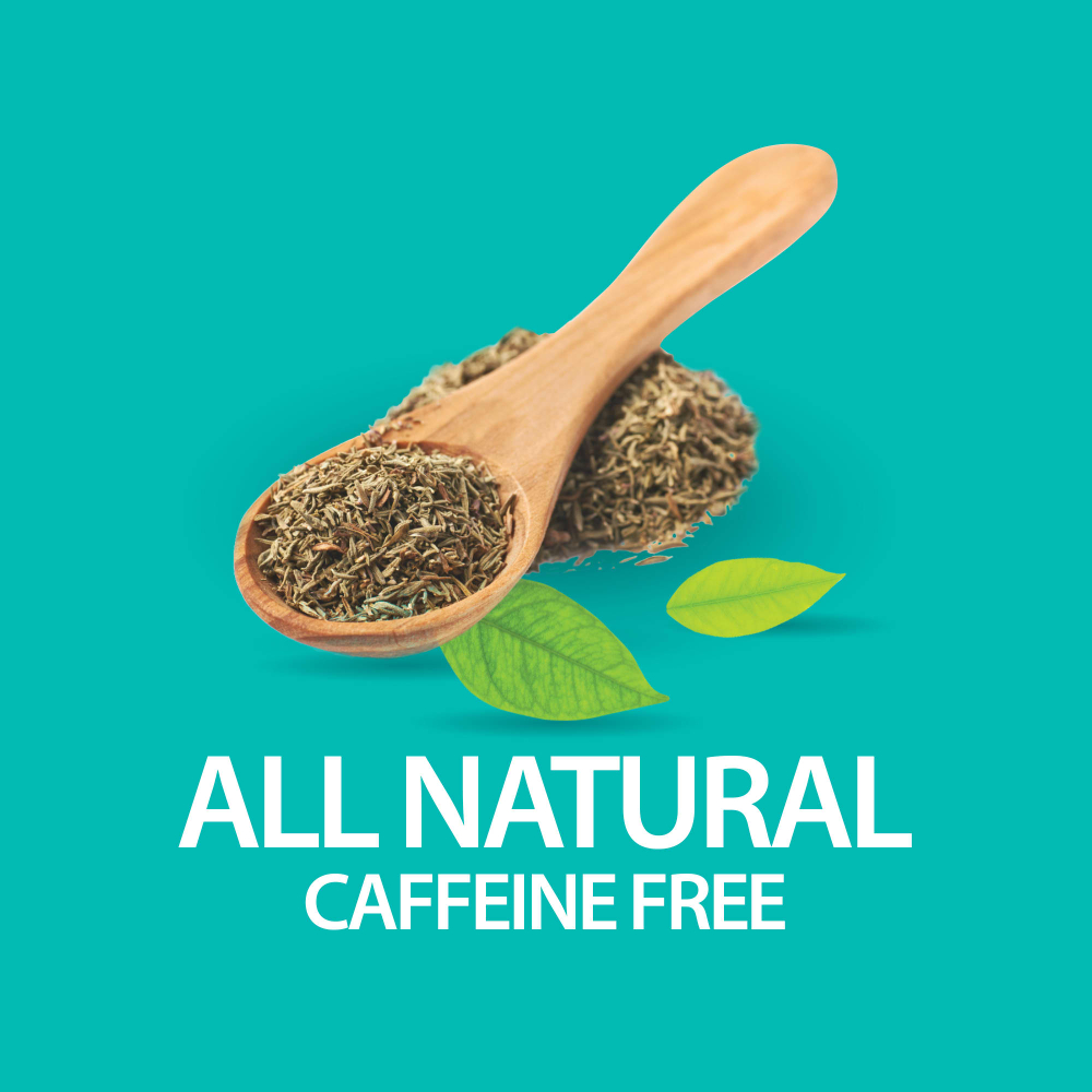 21st Century, Травяной чай для похудения, полностью натуральный, без кофеина, 24 чайных пакетика, 48 г (1,7 унции)