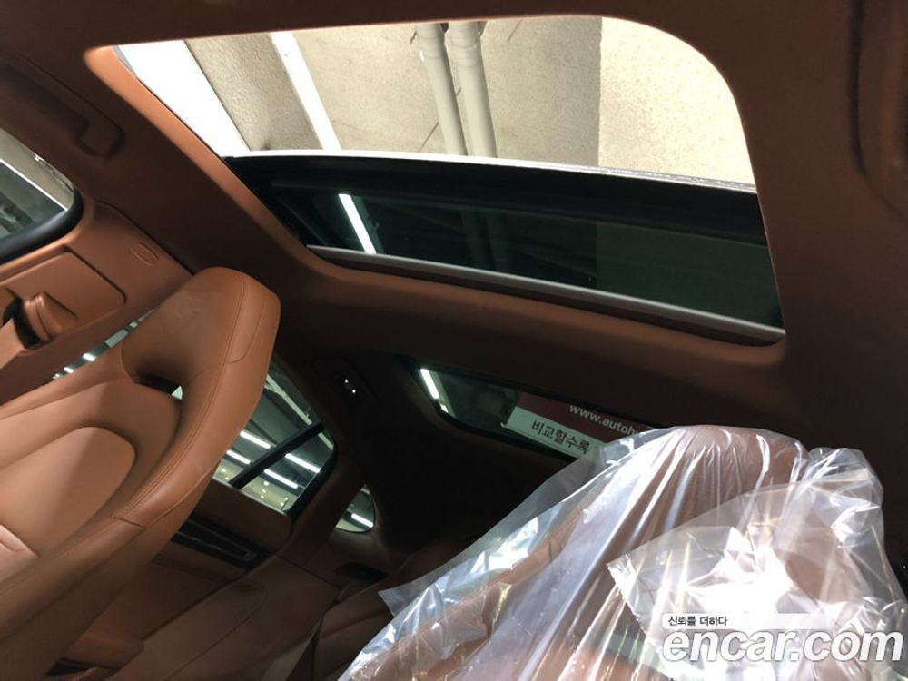 Porsche Panamera (971) 2.9 AWD Platinum Editions (01.2023)
