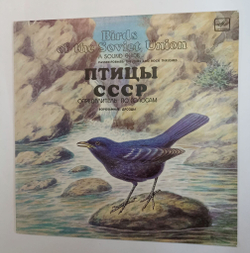 Винтажная виниловая пластинка LP Воробьиные: Дрозды (Passeriformes: Thrushes and Rock Thrushes) (СССР 1987)