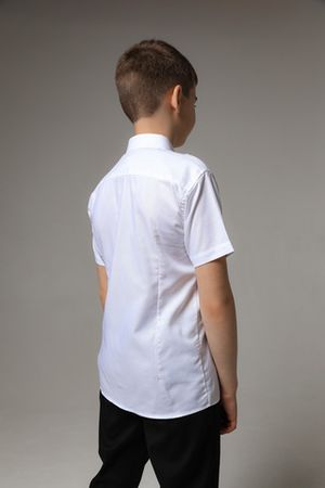 Рубашка короткий рукав на кнопках д/м NASJOY 1040