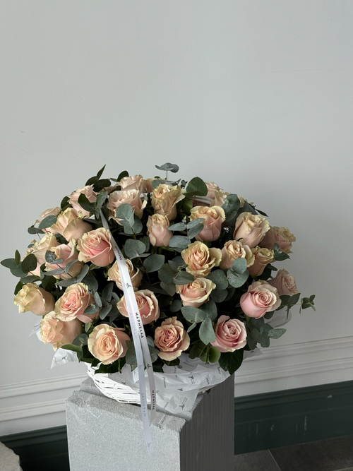 собран сегодня #18